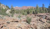 Tour Wandern Vilaflor - Lunar Landscape Hike in Villaflor (Tenerife) - Photo 15