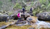 Tour Wandern Mazaugues - NSB5-MazauguesPivautI-220424 - Photo 10