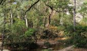 Excursión Senderismo Le Tholonet - Du  Tholonet  Moulin de Cézanne, Aqueduc romain et barrage de Zola  - Photo 2