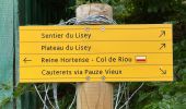 Trail Walking Cauterets - Sentier du Lisey - Photo 19