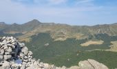 Trail Walking Saint-Jacques-des-Blats - st Jacques les blats pour griou  fon de cere - Photo 1