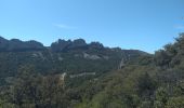 Trail Walking Gigondas - Gigondas - Photo 1