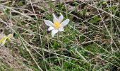 Tocht Stappen Beuil - Les Cluots par les Gorges du Cians supérieur - Photo 5