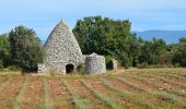 Tour Wandern Saignon - Saignon - Circuit des Bories - Photo 3