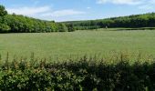 Randonnée Marche Verviers - aqueduc-bois de Jalhay-Cossart  - Photo 11