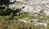 Randonnée Marche Arâches-la-Frasse - Col de ColonnEy et Tête de Monthieu. - Photo 19