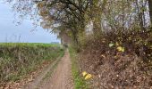 Trail Walking Holsbeek - Holsbeek 15 km - Photo 10