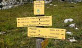 Tour Wandern Saint-Pierre-de-Chartreuse - Les Cottaves_les Revols_Chalets du Charmant Som - Photo 10