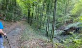 Trail Walking Viroinval - Olloy sur Viroin 23 km - Photo 13