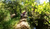 Trail Walking Le Thoronet - thoronet. le canal de saint croix et le village ruiné de Pételin - Photo 4