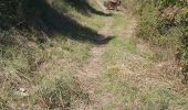 Trail Walking Malaucène - Malaucene-Crestet-Vaison la Romaine  - Photo 2