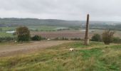 Randonnée Marche Arques-la-Bataille - forêt d'arques - Photo 1