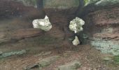 Tocht Stappen Ribeauvillé - boucle la grande verrerie-roche des 3 tables-roche des reptiles-roche des géants-la grande verrerie  - Photo 4