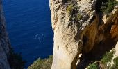 Randonnée Marche Cassis - Pas de la Colle - Falaises Soubeyranes - Sémaphore du Bec de l'Aigle - Anse de Figuerolles - Parc Mugel - La Ciotat - Photo 12