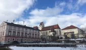 Excursión A pie Rainbach im Mühlkreis - Weg der Farben - Photo 1