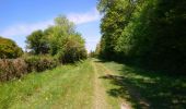 Trail Walking Fondettes - Fondettes - Impro 4 communes - 21.6km 200m 4h40 (30mn) - 2021 04 24 - Photo 7