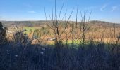 Trail Walking Rochefort - adeps rochefort  - Photo 8