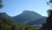 Tocht Te voet Grazalema - RÍO MAJACEITE - Photo 8