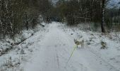 Tocht Stappen Stavelot - Hockai ❄️☃️ - Photo 12