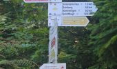 Trail Walking Lautenbach - Lautenbacher Hexenweg - Photo 19