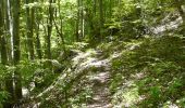 Randonnée Marche Courgoul - Les gorges de Courgouls et le Pic de Cluzel - Photo 2