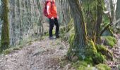 Trail Walking Manhay - Mormont  - Photo 9