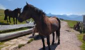 Tocht Stappen Urtijëi - St. Ulrich in Gröden - Ortisei - Raschötz Alm - Photo 5