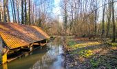 Trail Walking Gallardon - De Gallardon à Maintenon - Photo 4