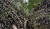 Tour Wandern Büssing - Source de la Moselle - Col de Bussang - Cuisine du Diable - Tête des Perches avec vue Lac des Perches - Photo 16