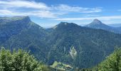 Tour Wandern Saint-Pierre-de-Chartreuse - Table d’orientation de la SCIA - Photo 4