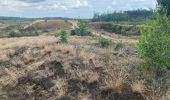 Randonnée Marche Maaseik - Gruitroderbos -  dunes - Photo 9