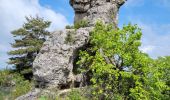Trail Walking Roquefort-sur-Soulzon - le rocher de Roucangel - Photo 11