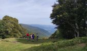 Trail Walking Ranspach - Markstein  Hanenbrpunnen - Photo 2