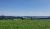 Tocht Stappen Sankt Vith - rando schoenberg 20/07/2021 - Photo 4