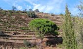 Tocht Stappen Port-Vendres - les batteries . collioure . fort sant elme . port vendres . cap gros - Photo 12