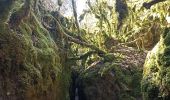 Trail Walking Nant - boucle des canalettes - Photo 2