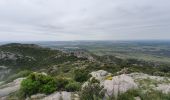 Trail Walking Aureille - la tour des Opies - Photo 6