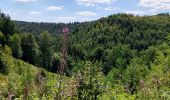 Tour Wandern Hohenfels - Promenade des crêtes - Photo 12