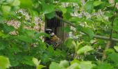 Tour Wandern Darnétal - 20210525-Roncherolles - Photo 14