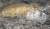 Randonnée Marche Messon - Bois de Vieux, bois Lorgne - Photo 3