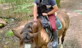 Trail Horseback riding Habay - Les 4 fils saumon à cheval - Photo 6
