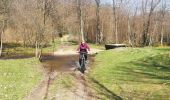 Trail Mountain bike Gedinne - VTC Moulin de Boiron - Photo 4