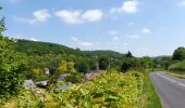 Trail Walking Franqueville-Saint-Pierre - 20200520-Le Faulx - Photo 6