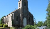 Trail On foot Chimay - Bois de Blaimont - Photo 1