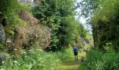 Excursión Senderismo Les Rousses - Lac 