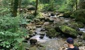 Tocht Stappen Menétrux-en-Joux - Cascades du Herisson jura  - Photo 5