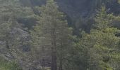 Trail Walking Beauvezer - villars heyssier gorges Saint Pierre 19kms 850m  - Photo 8