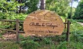 Tocht Mountainbike Brinon-sur-Sauldre - Sologne balade VTT domaine des bulles - Photo 1