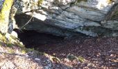 Trail Walking Beure - Beure, côte blanche, bois de peu - Photo 1