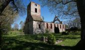 Trail On foot Flieth-Stegelitz - Rundweg Gerswalde - Photo 5